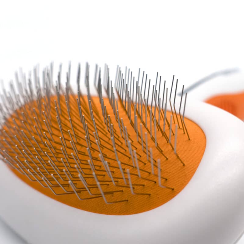 A beautiful cat grooming brush