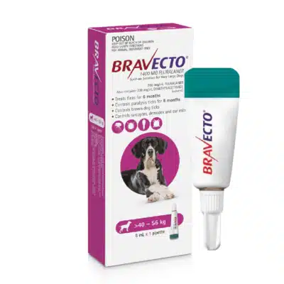 Spot-On Dog Pink Bravecto