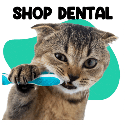 Cats Dental