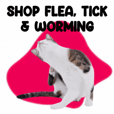 Cats Flea Tick & Worming