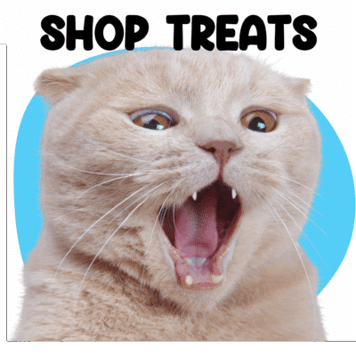 Cats Treats