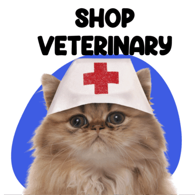 Cats Veterinary