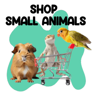 Small Animals