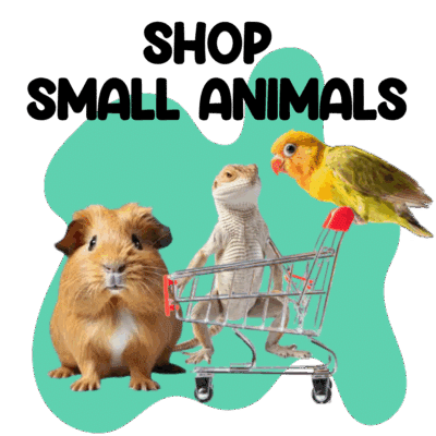 Small Animals