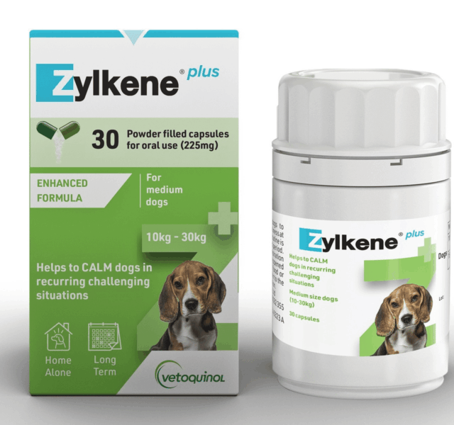 ZYLKENE Plus Mediym Dog 30s